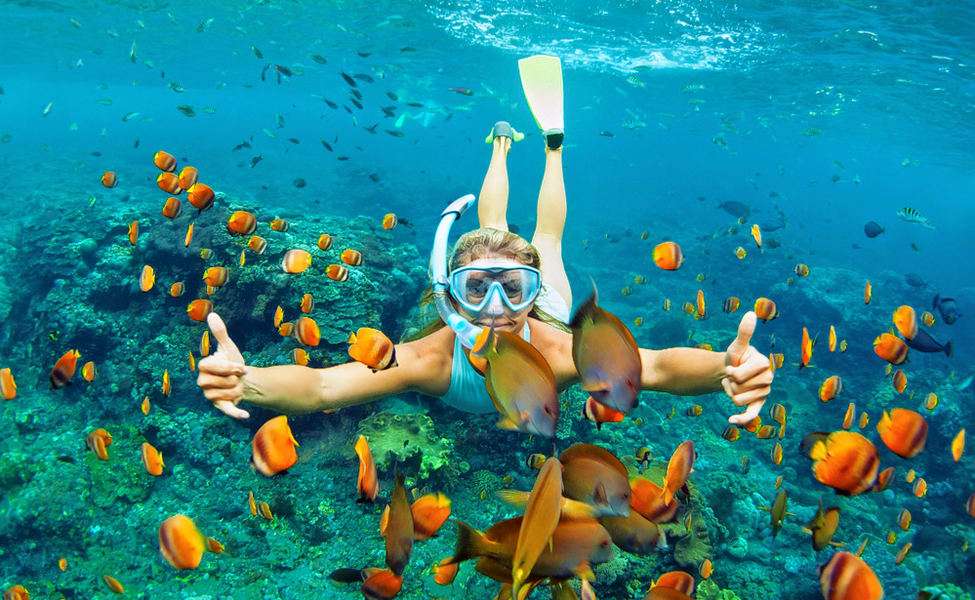 Experience Snorkelling in Gili Tepekong and Blue lagoon