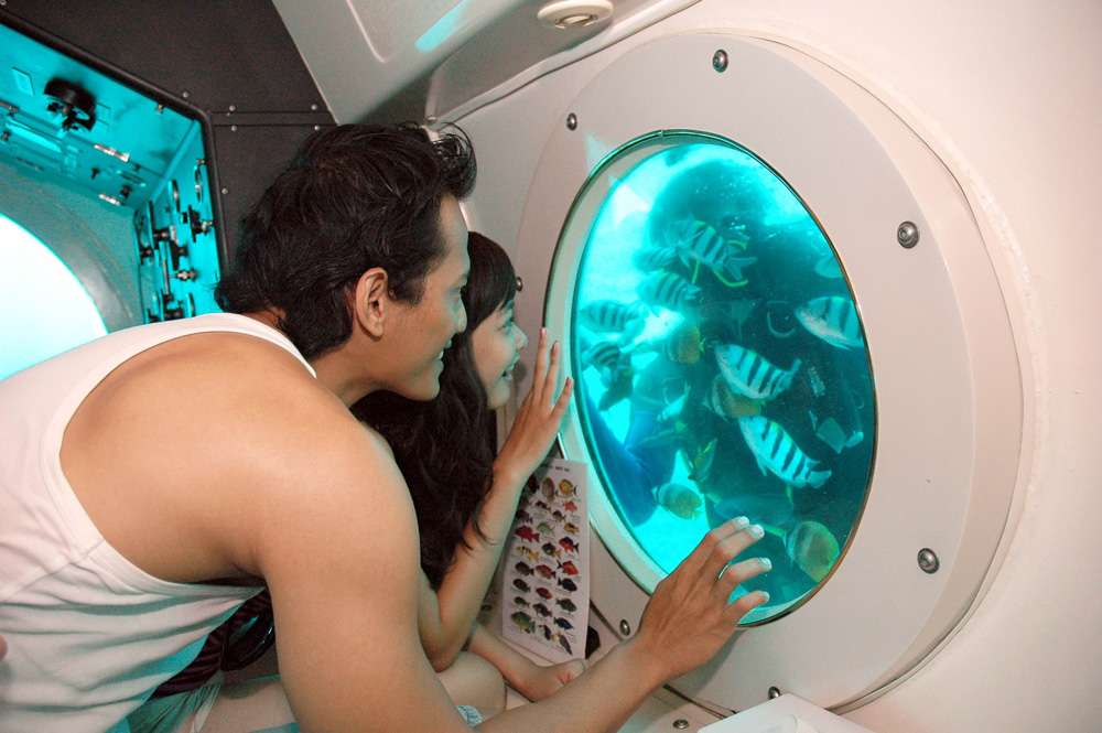 Observe Underwater Beauty with Submarine Safaris