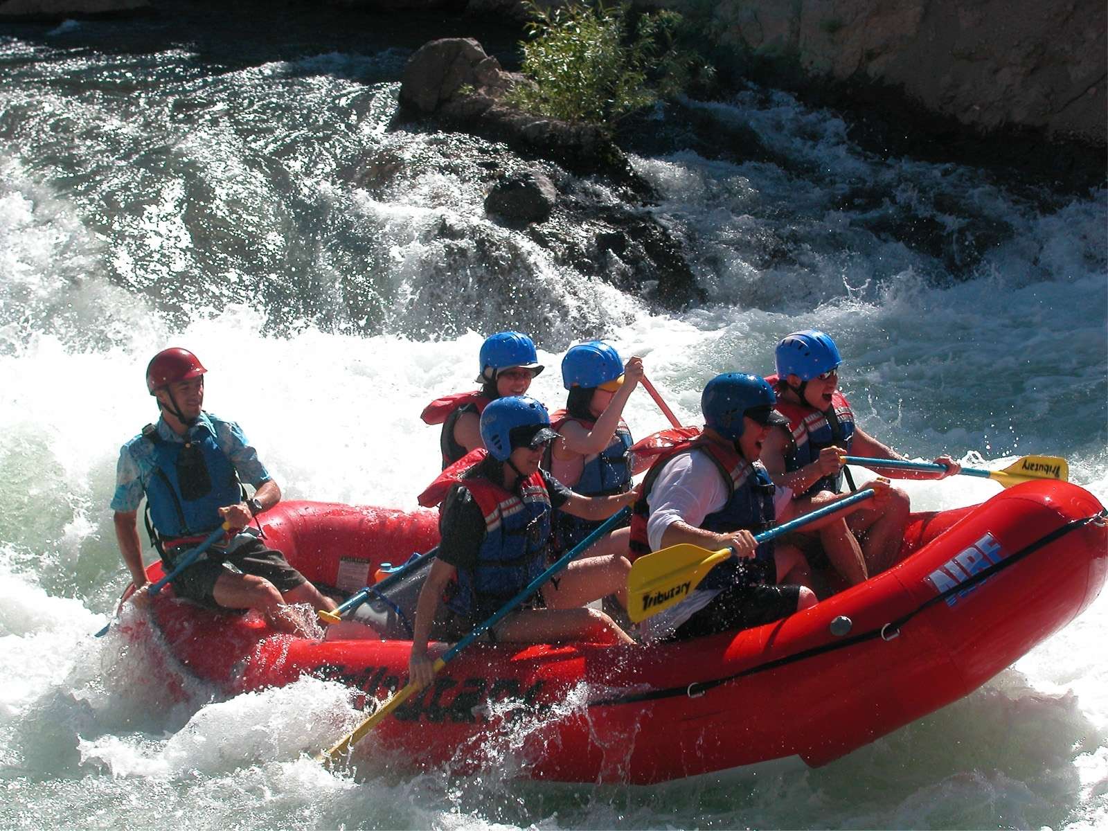 Elephant Trekking with Whitewater rafting