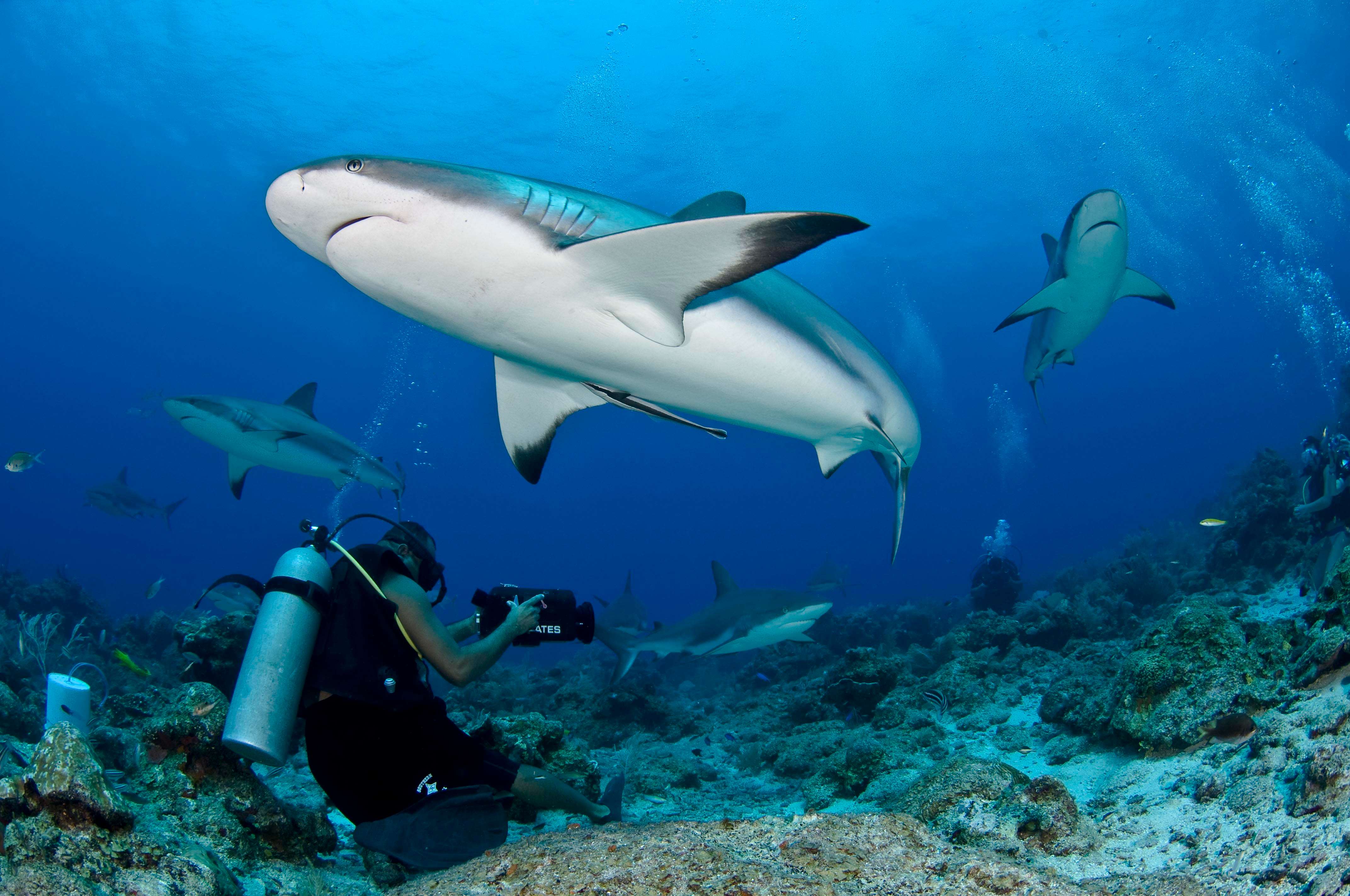 Bay Islands, Honduras
