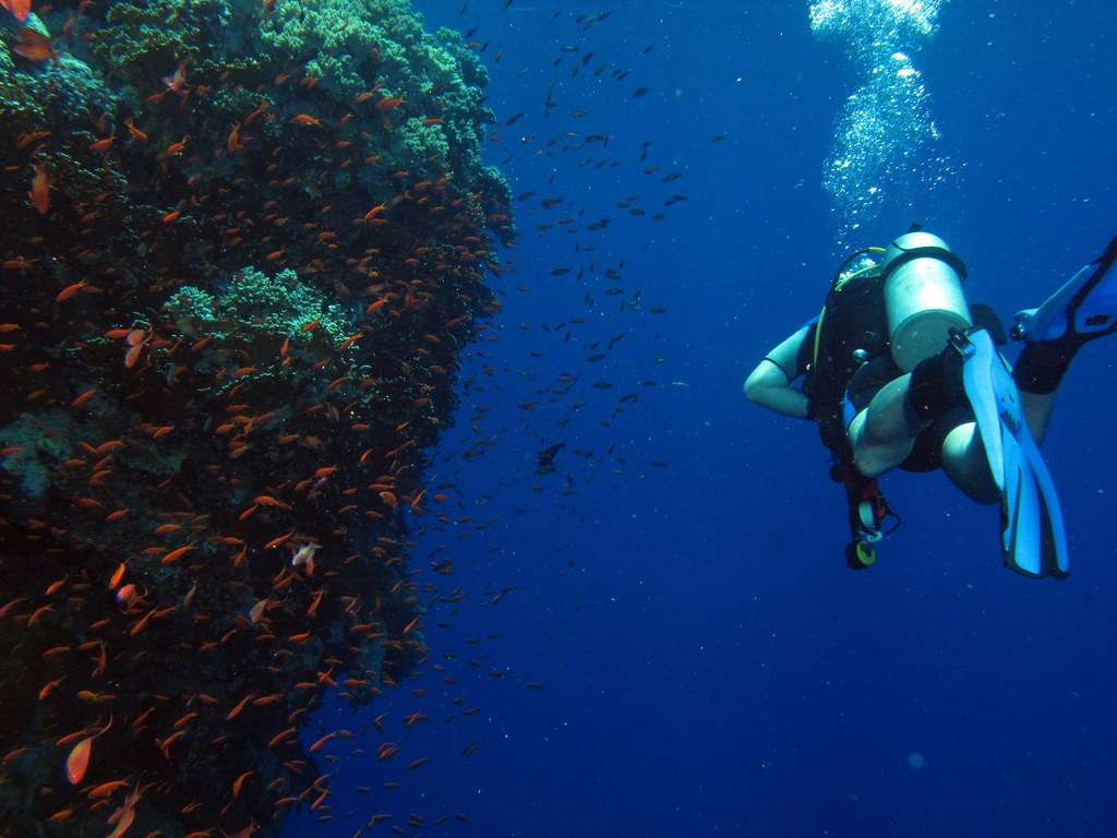 Big Brother, Egyptian Red Sea