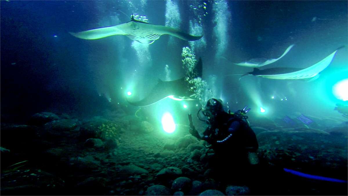 Manta Ray Night Dive, Kailua Kona, Hawaii