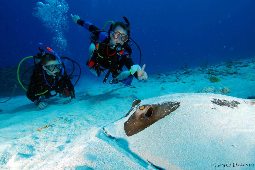 Bloody Bay Wall, Little Cayman