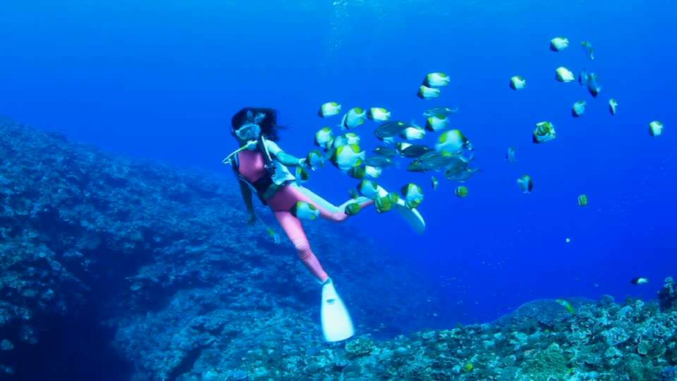 Hokkaido Island, Japan