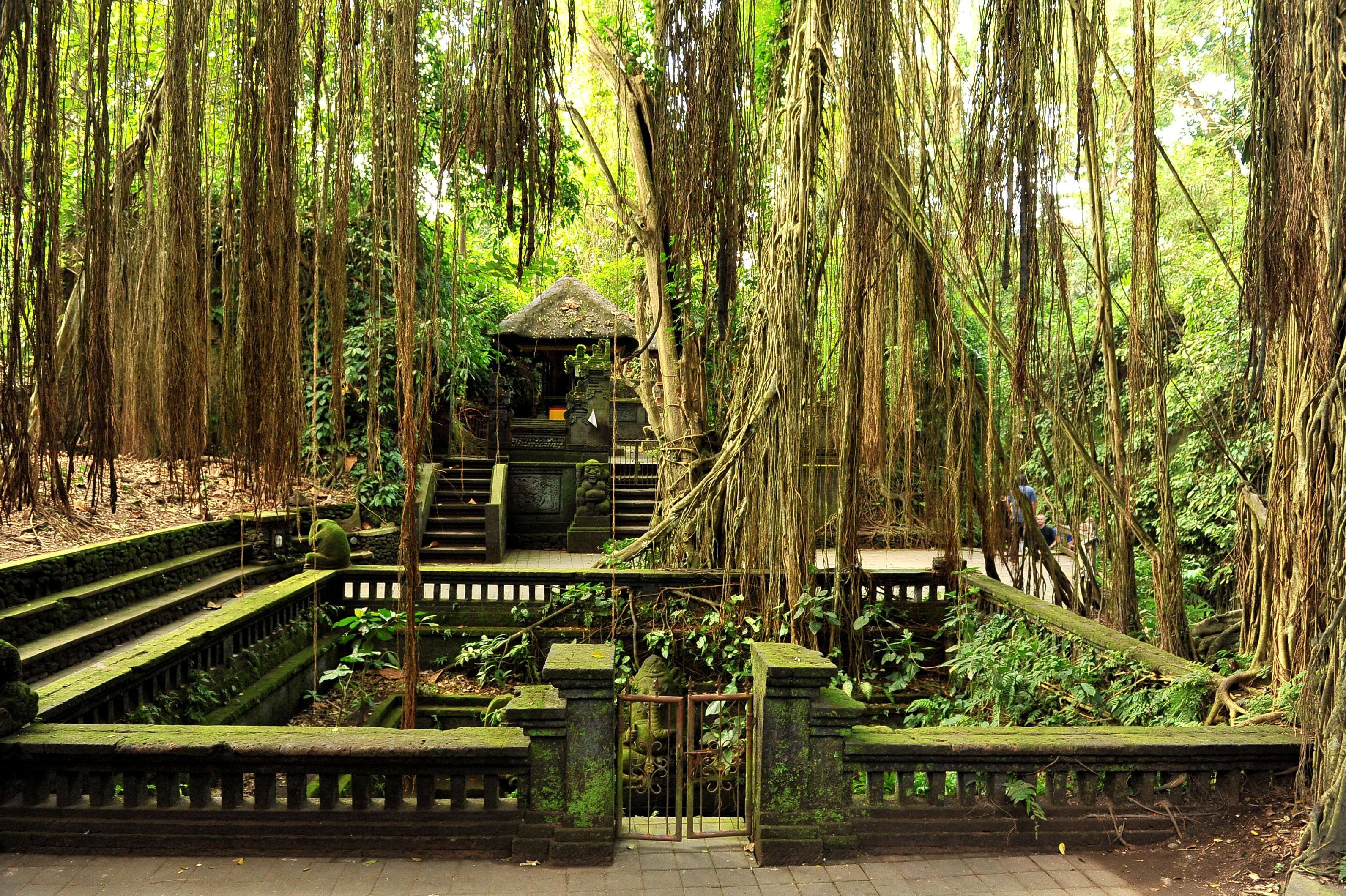 Ubud Monkey Forest