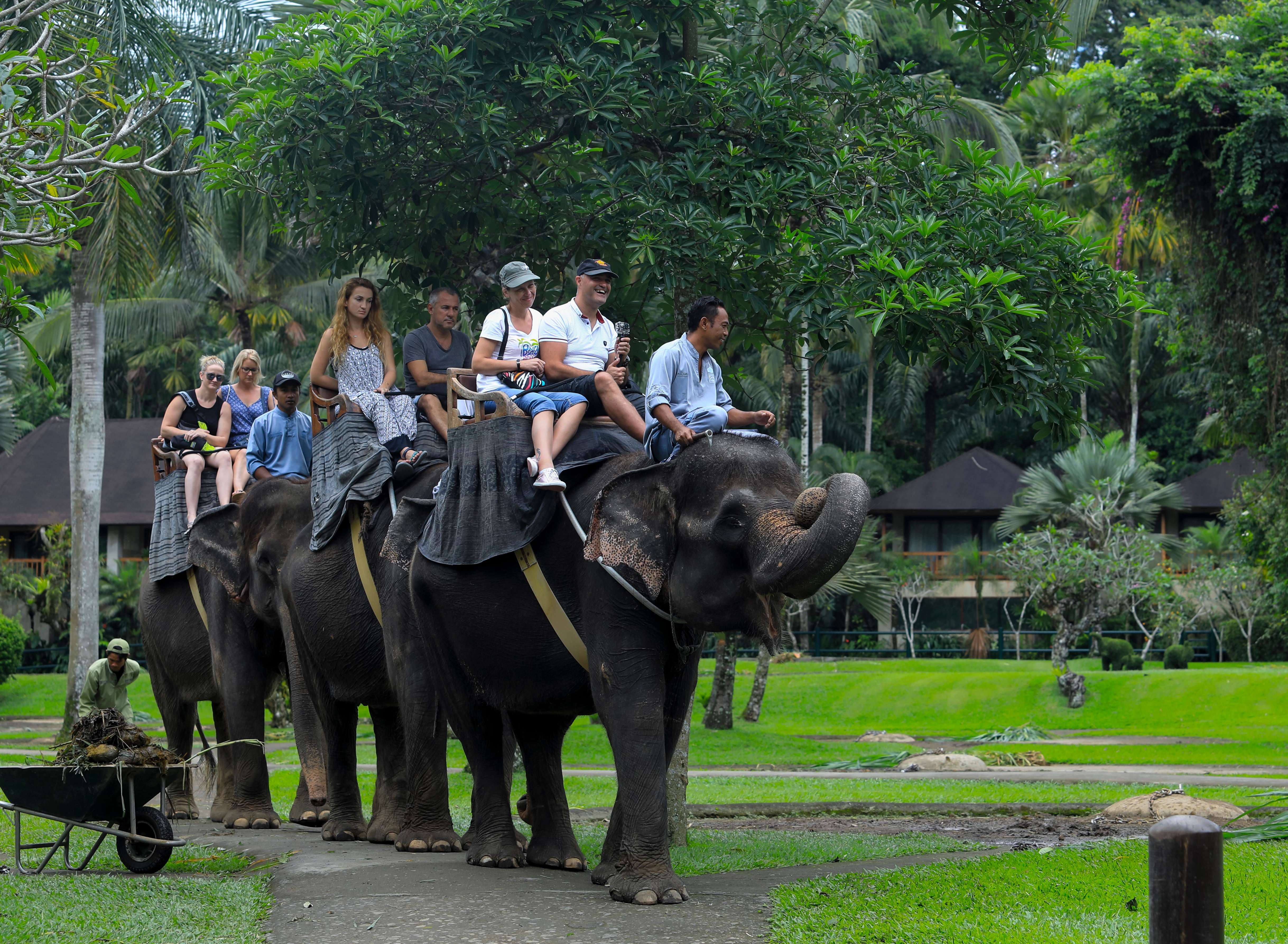 Bali Safari and Marine Park Gianyar 