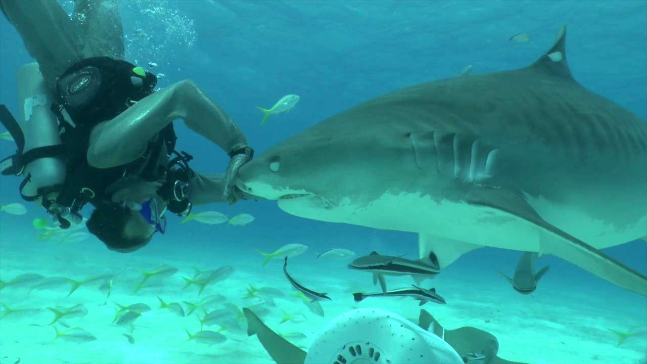 Grand Bahama, Bahamas