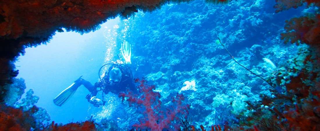 Great White Wall, Tavieuni Fiji