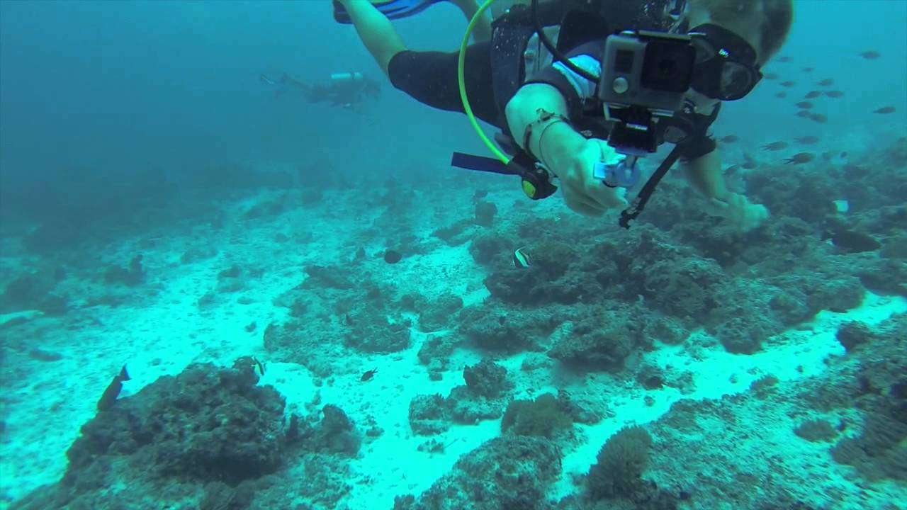 Mnemba Island, Tanzania