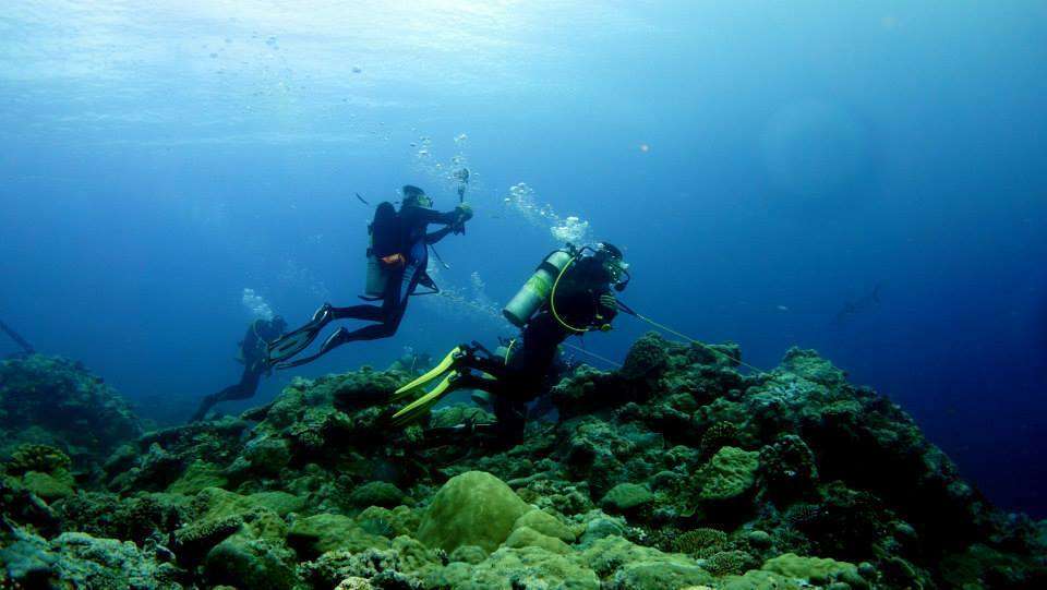 Ulong Channel, Palau