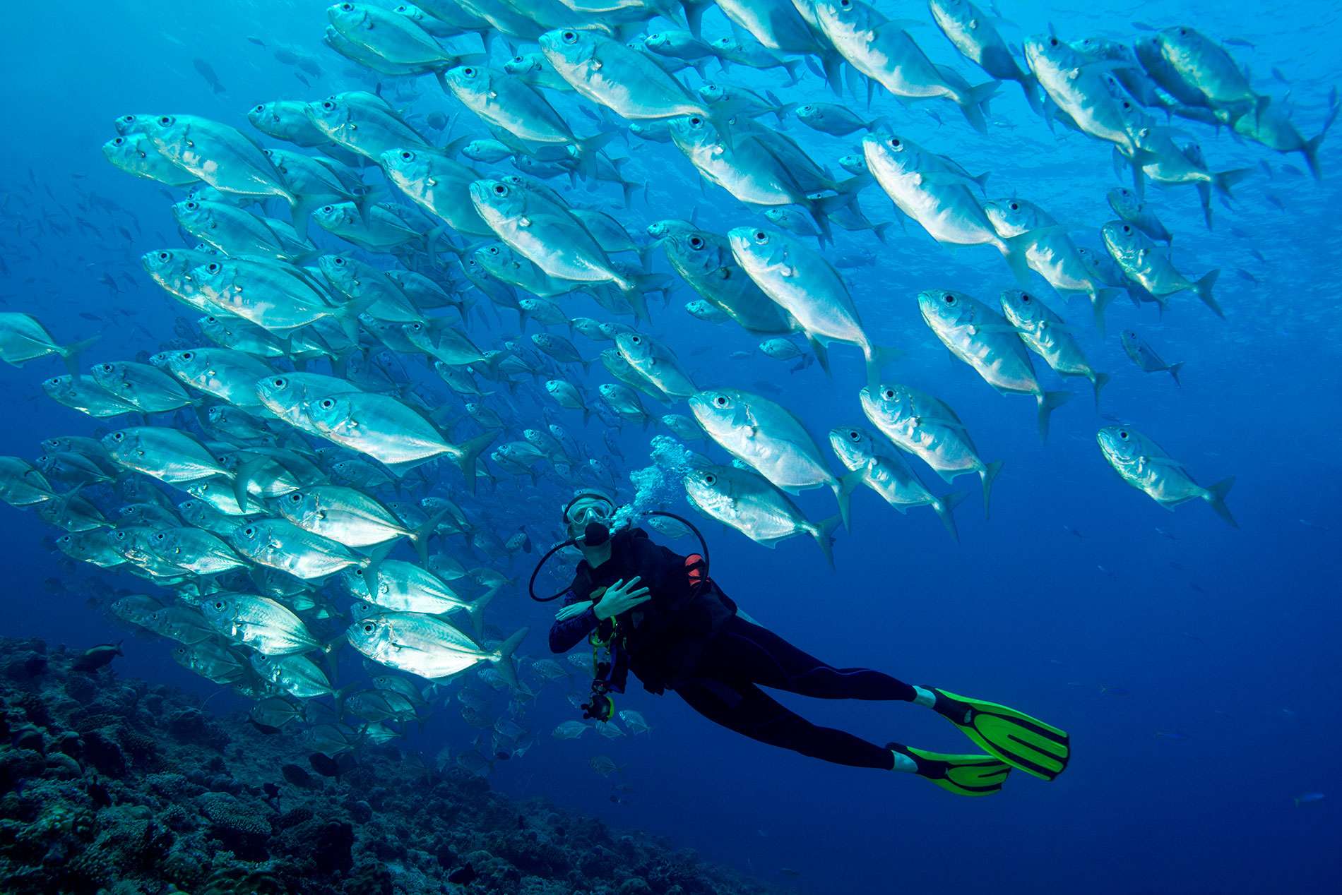 Sha'ab Rumi South, Sudan