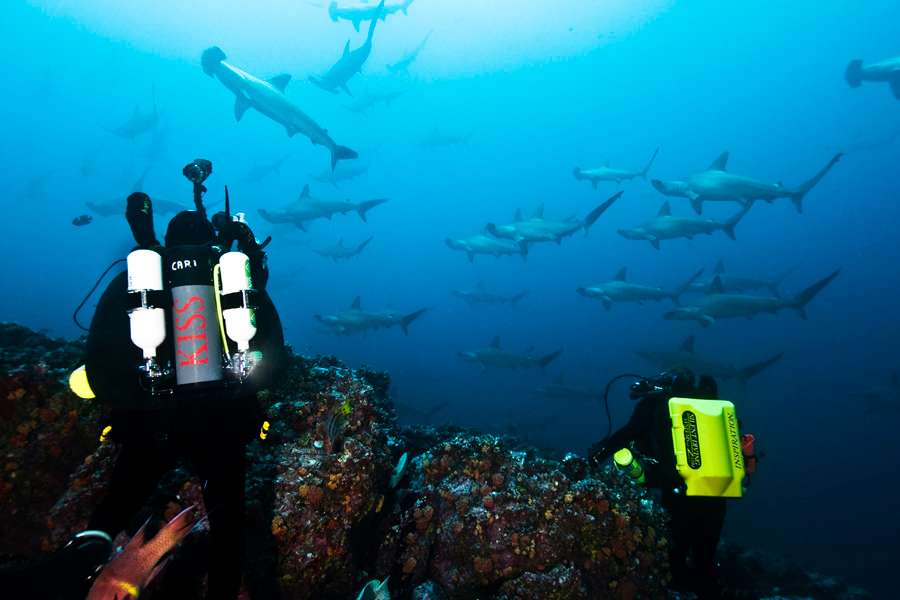 Alcyone, Cocos, Costa Rica
