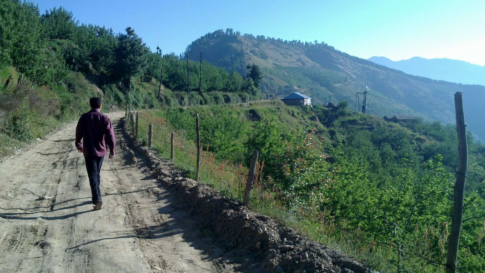 Enjoy a panoramic view from Kiala forest