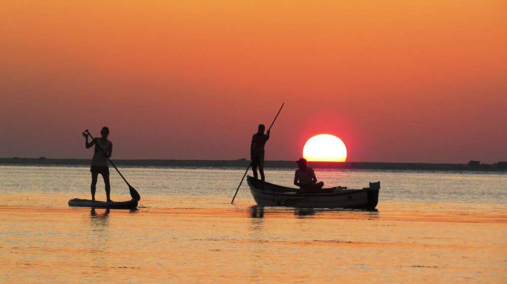 1491649651 img 1905 1024x575