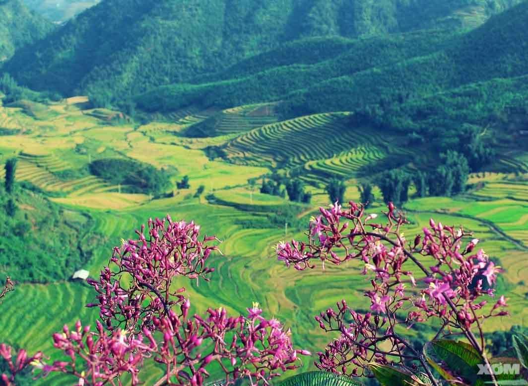 1491923055 dien bien phu