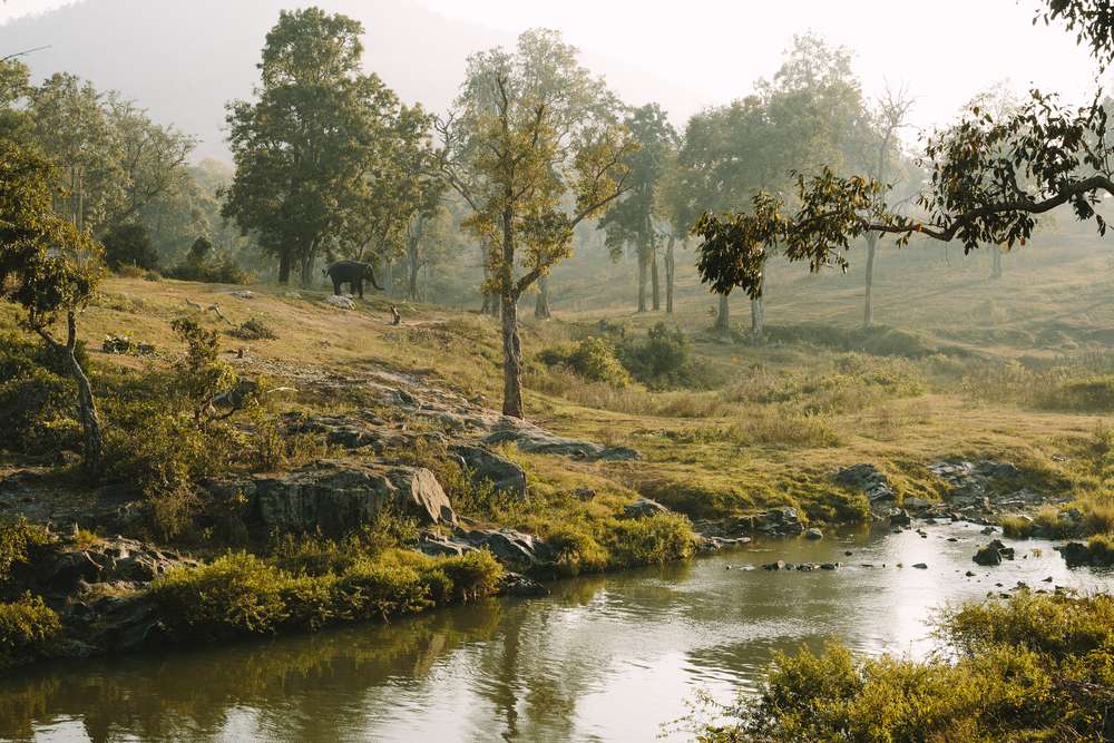 1597144810 shutterstock 599923862