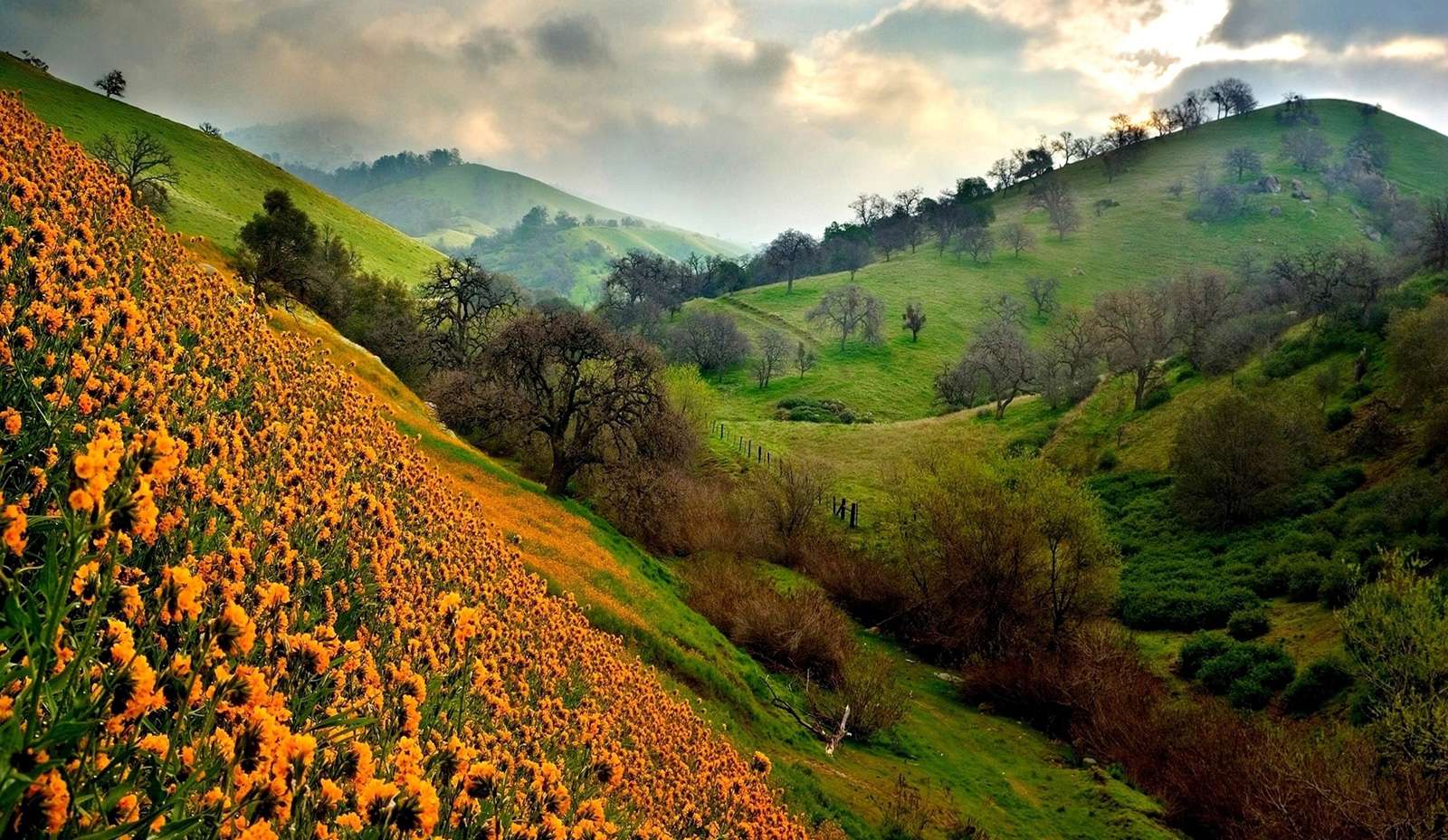 1492177228 group outing joshimath4