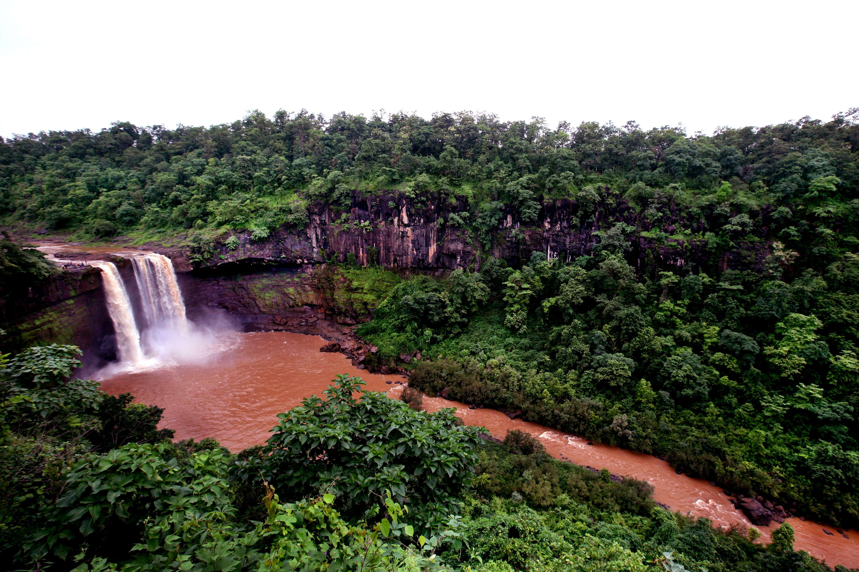 1492260995 giri mal fall gujarat