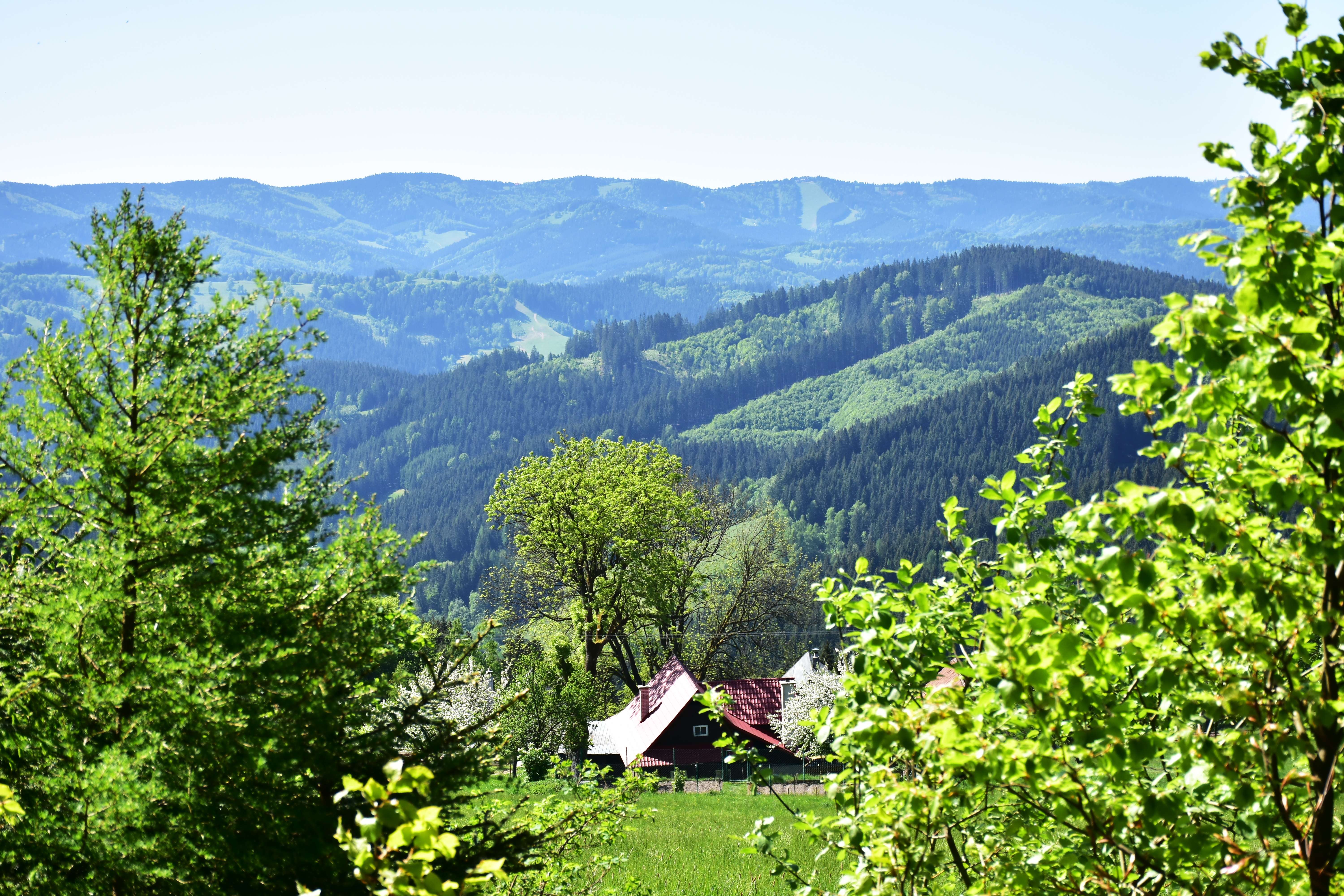 1549712405 shutterstock 1094614757