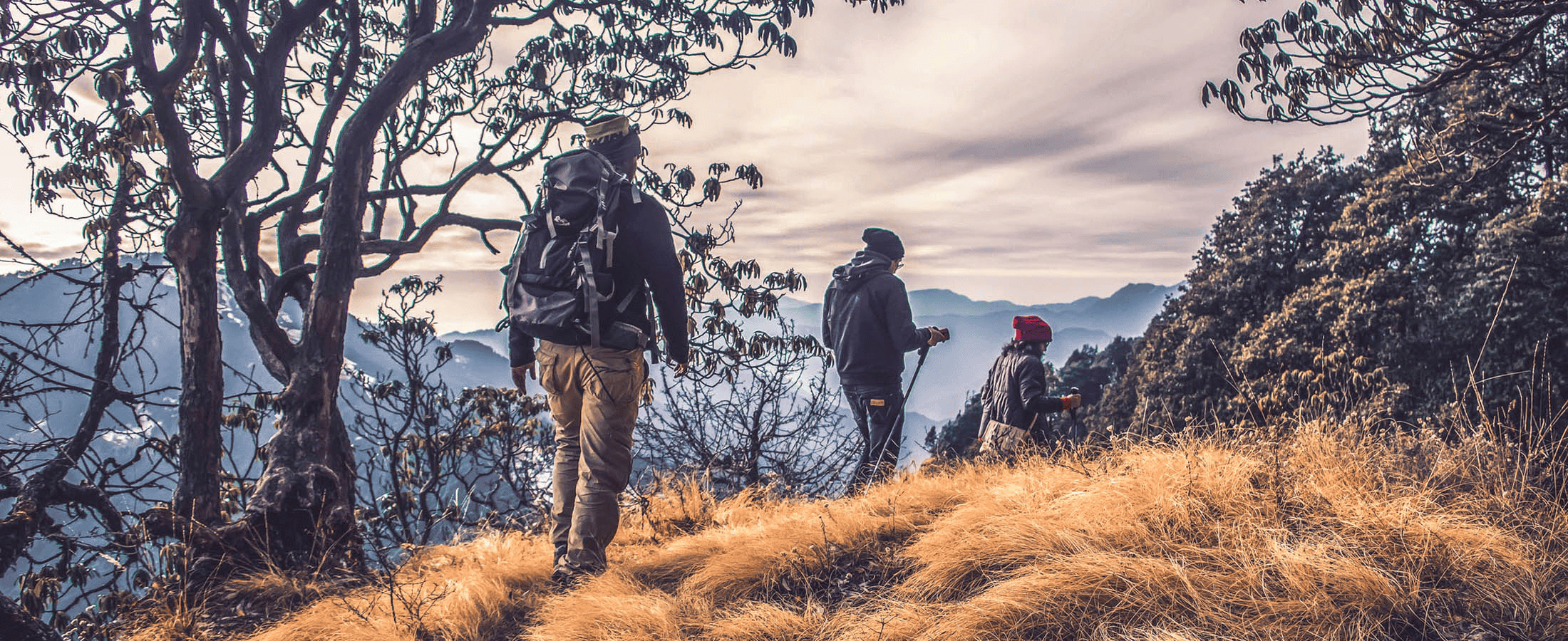 35 Things to Do in Munnar {{year}} | Book & Get Upto 35% Off