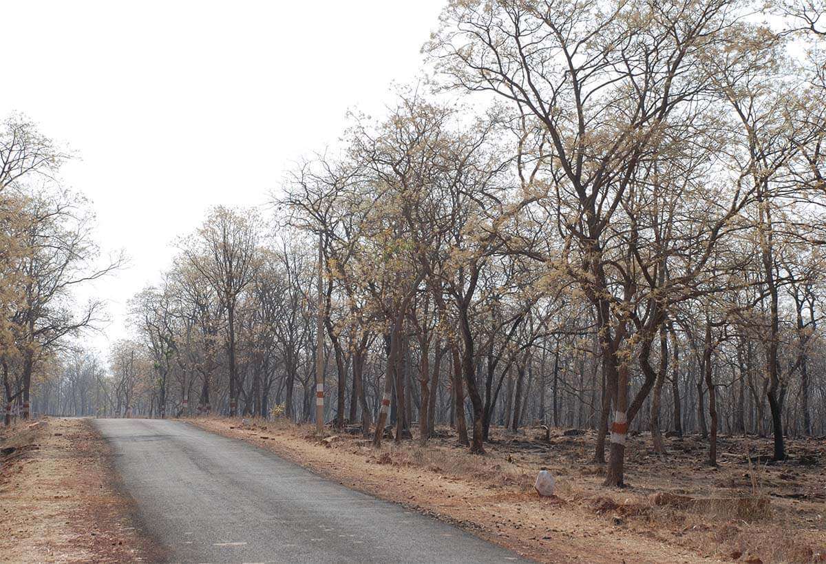 Bhoramdev Wildlife Sanctuary       