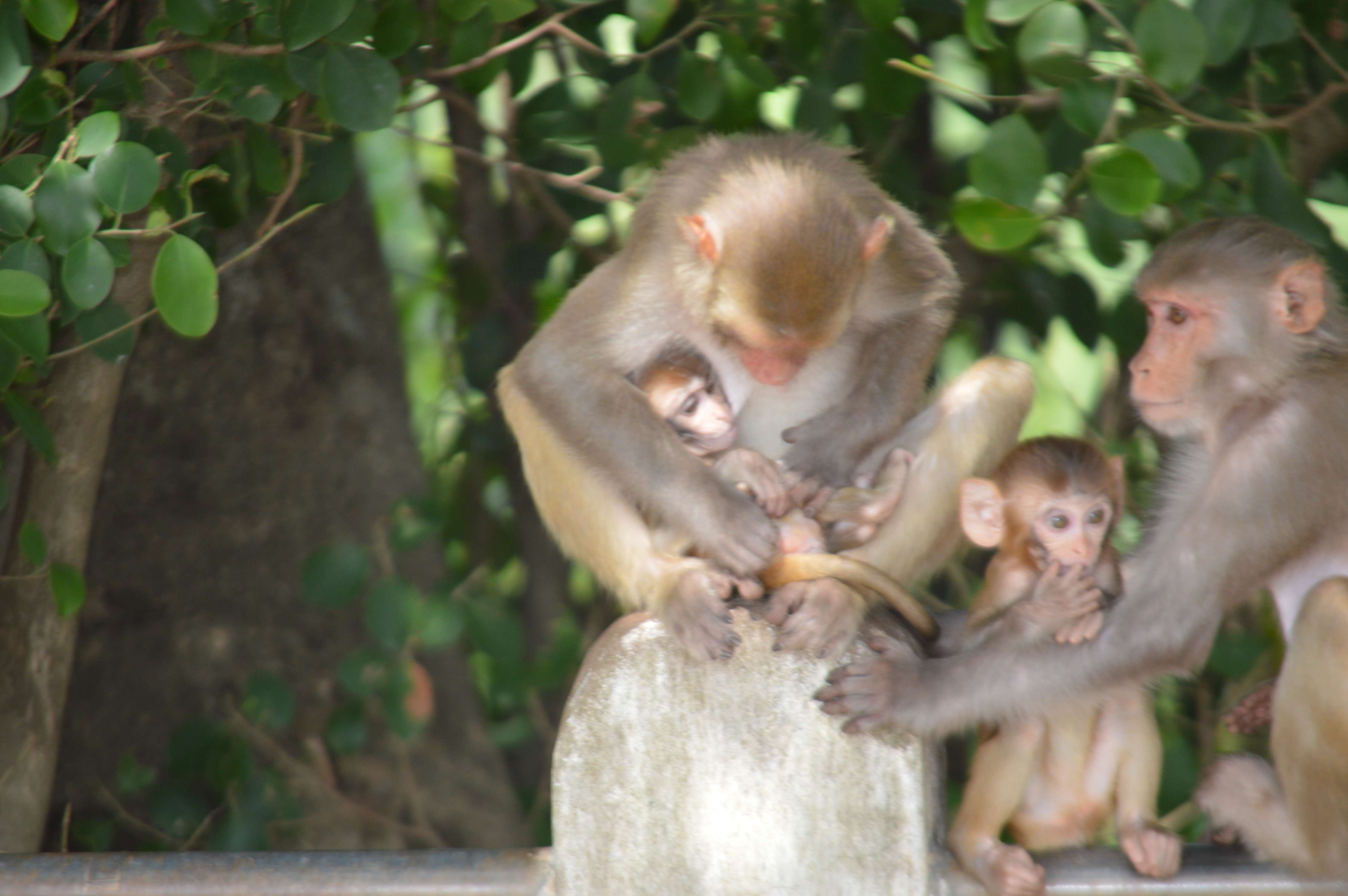 Kanger Valley National Park     