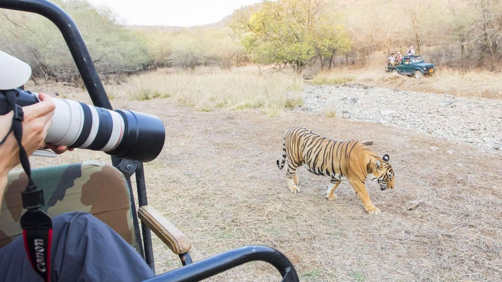 18 Best Wildlife Sanctuaries and National Parks in Chhattisgarh