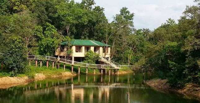 Mubas Machaan, Barnawapara