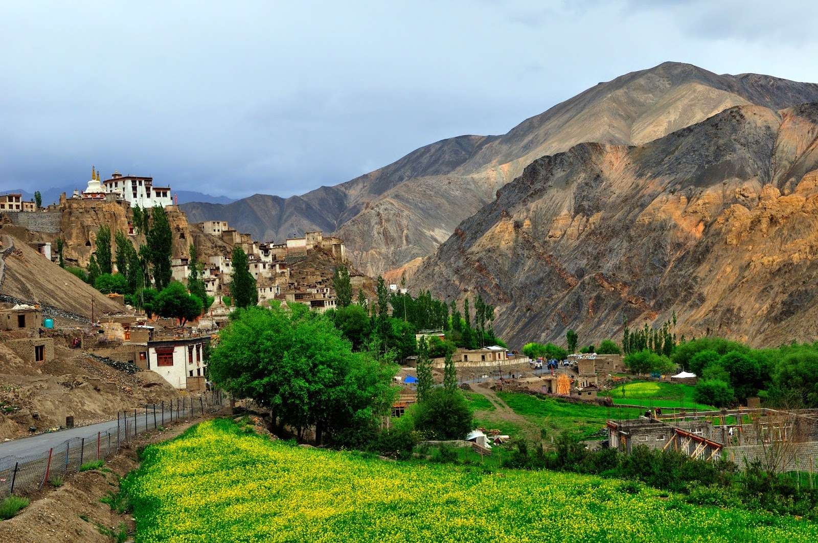 10 Homestays in Leh Ladakh - Book Now & Get UPTO 40% OFF