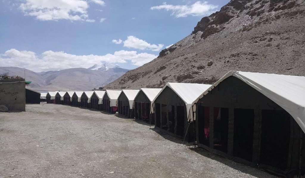 Yak Camp Tsomoriri