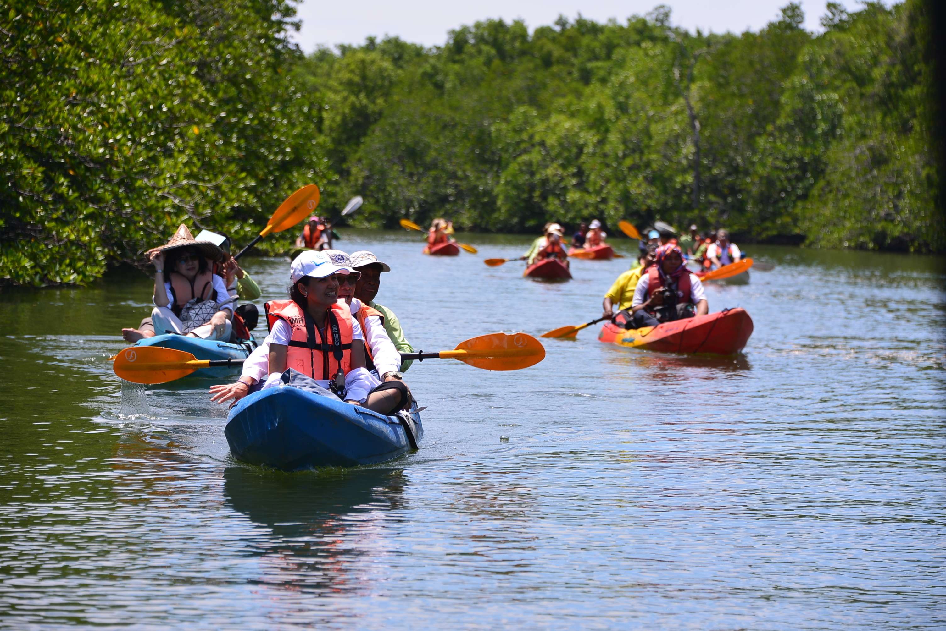 Mangrove Kayaking at Mayabunder