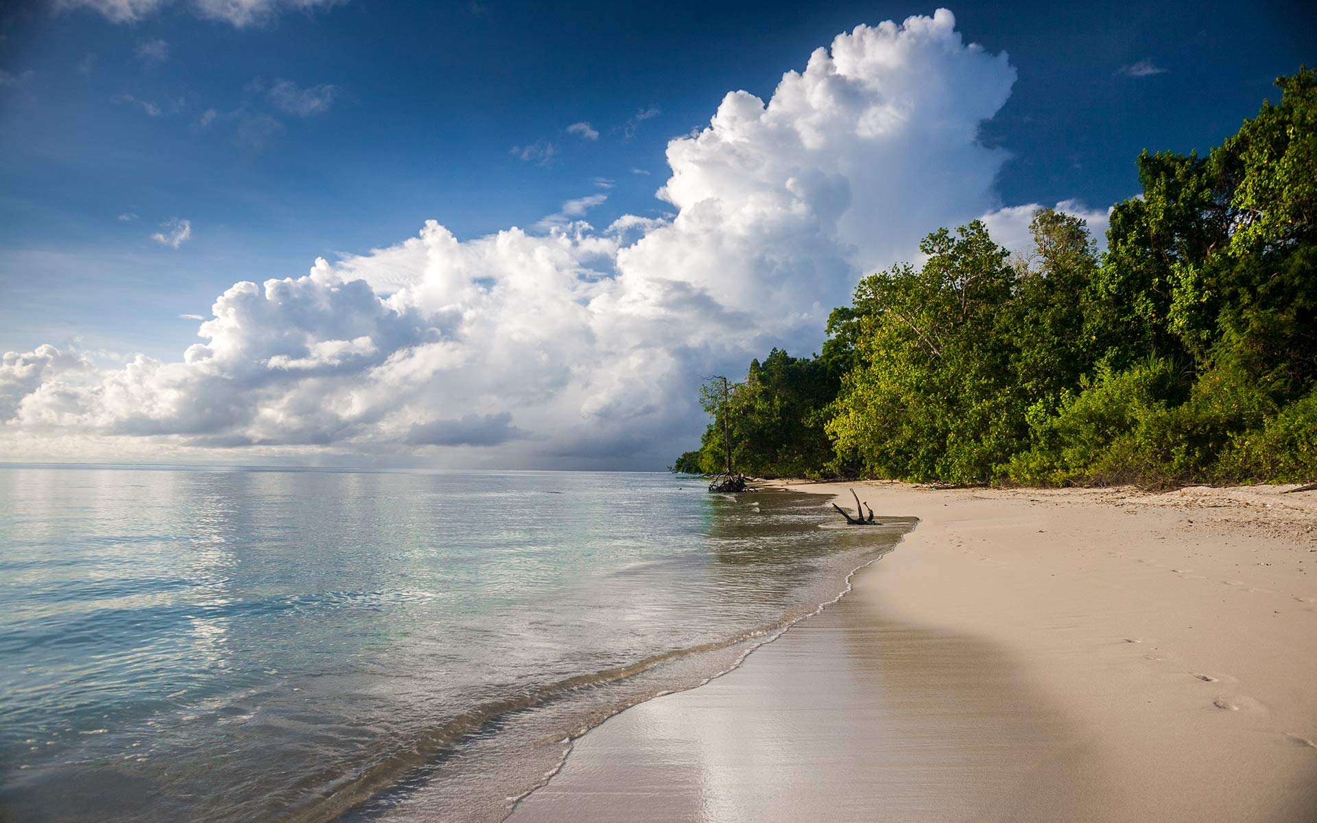20 Beaches in Andaman and Nicobar Islands (Travellers Favorites)