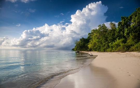 20 Beaches in Andaman and Nicobar Islands (Travellers Favorites)