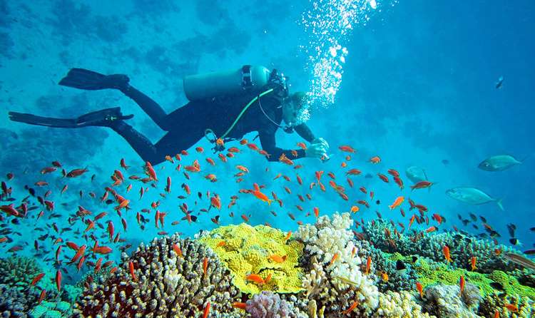 North Bay Island Andaman