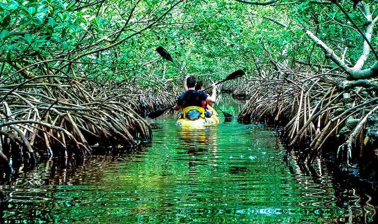 Limestone Caves, Baratang Island
