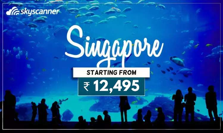 Singapore - One Destination for all-kind 