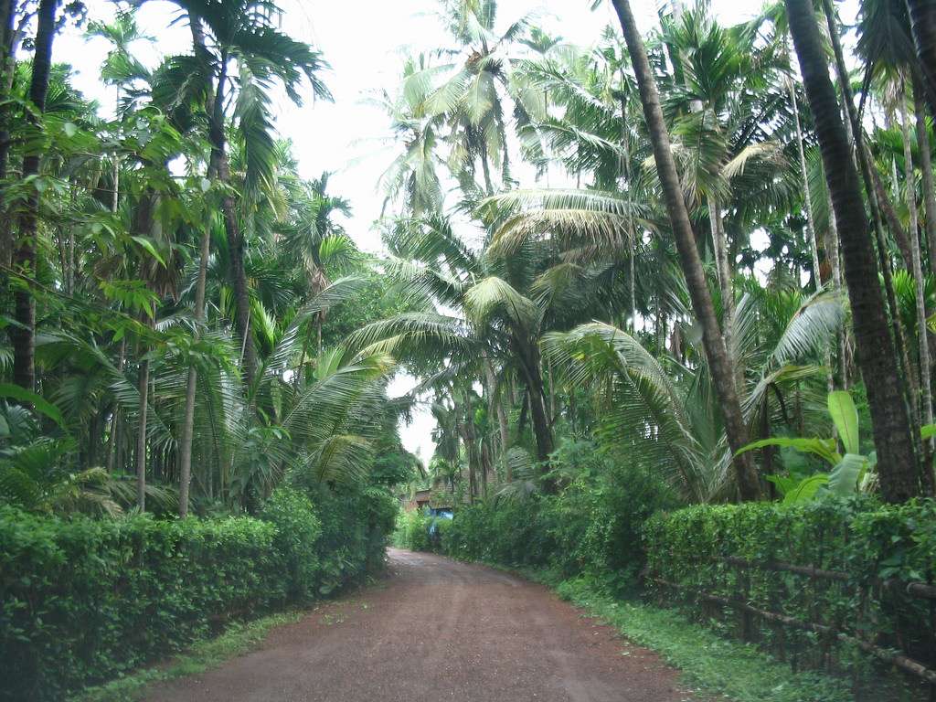 Diveagar (160 km from Pune)