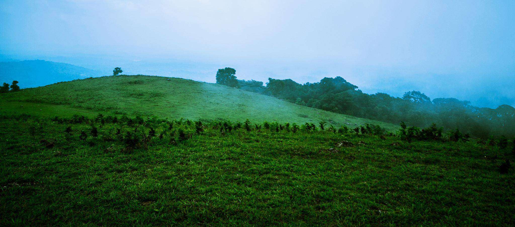 Tavoor Hills Trek, Coorg - 294  km from Bangalore