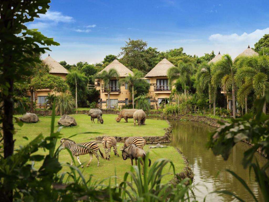 Stay at Mara River Safari Lodge