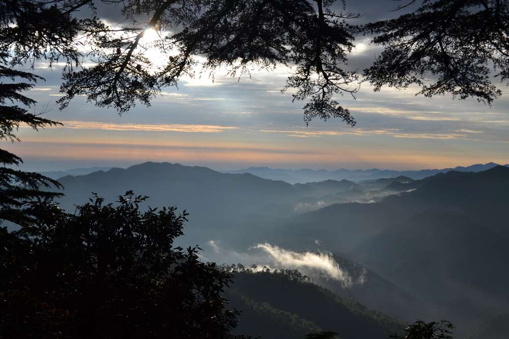 Chail (356 Kms from Delhi)