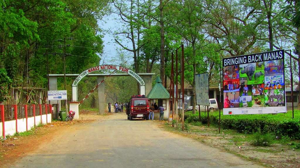 Manas National Park, Assam