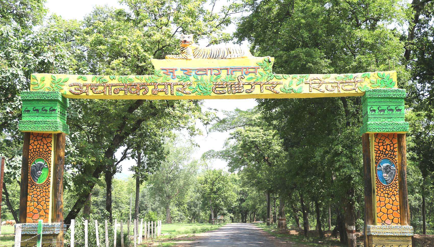 Achanakmar Tiger Reserve, Chhattisgarh