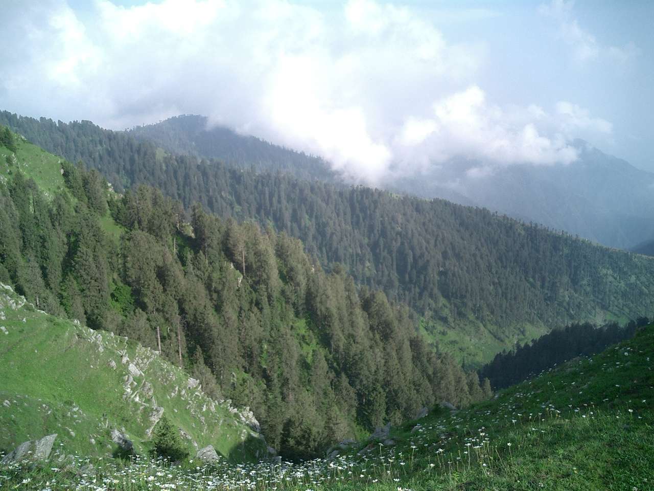 Bakrota Hills
