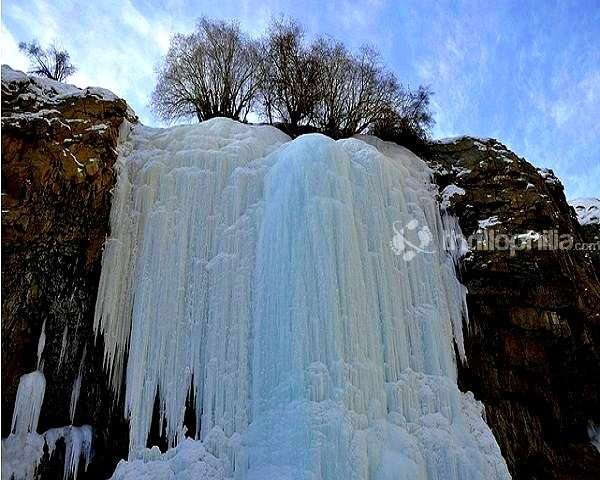 Is the Trip Customisable?