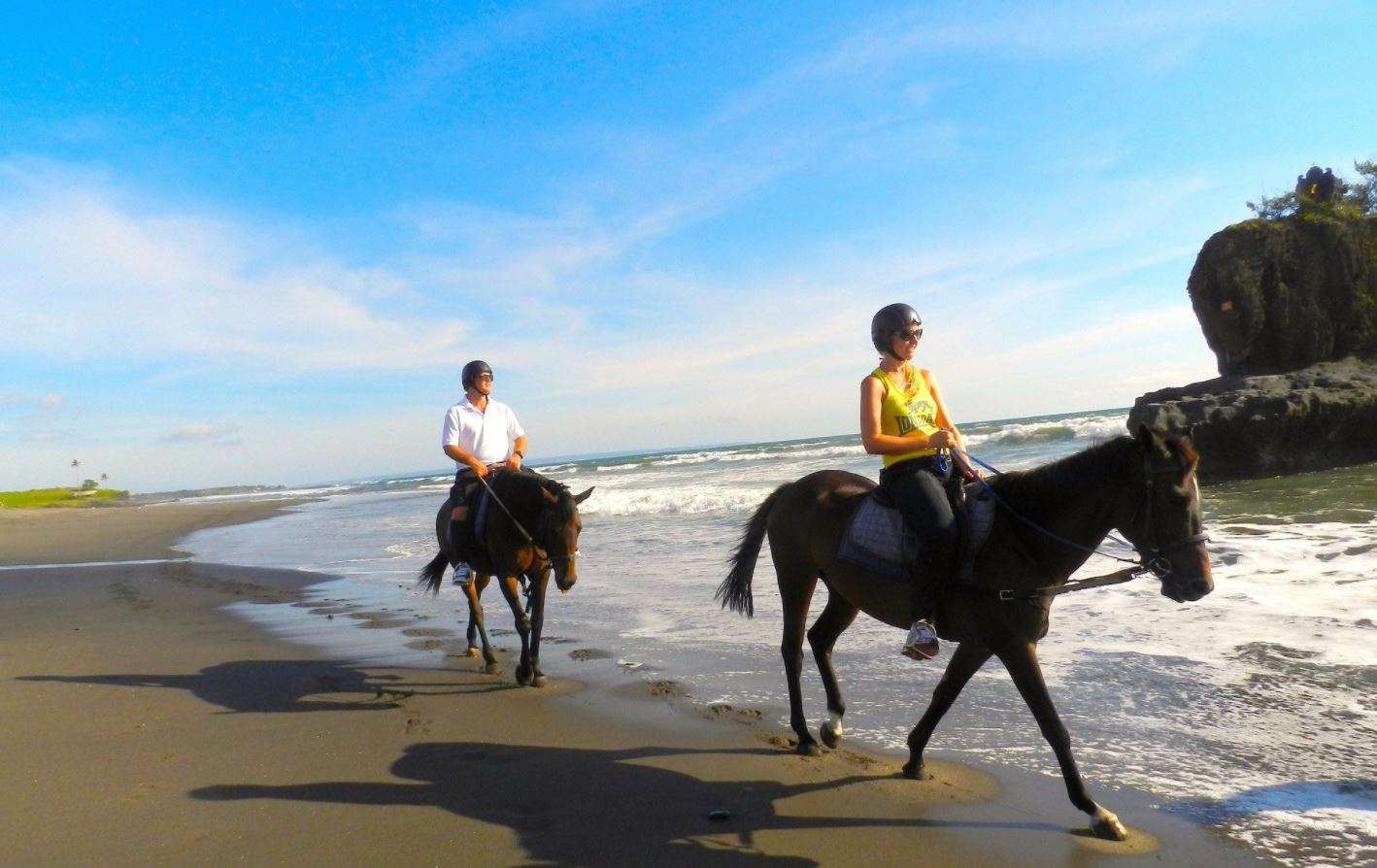 Ride Finest Horses Near The Pererenan Beach