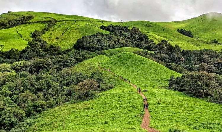 Kodachadri (412 km from Bangalore)