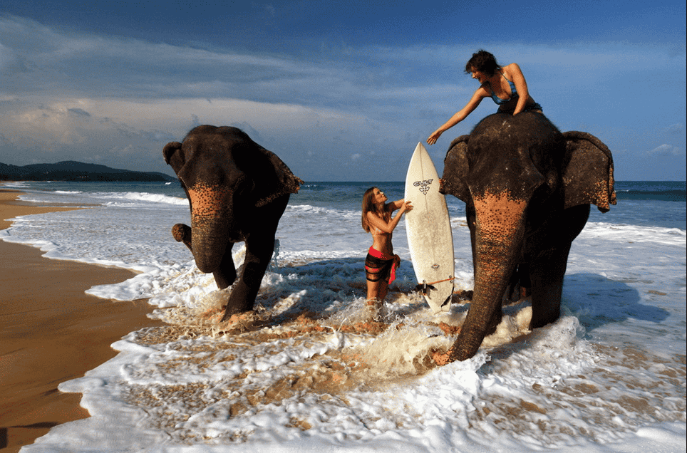 Elephant Beach