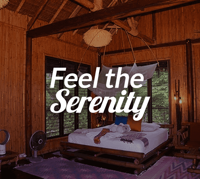 Treehouse at the Beach in Krabi, Thailand