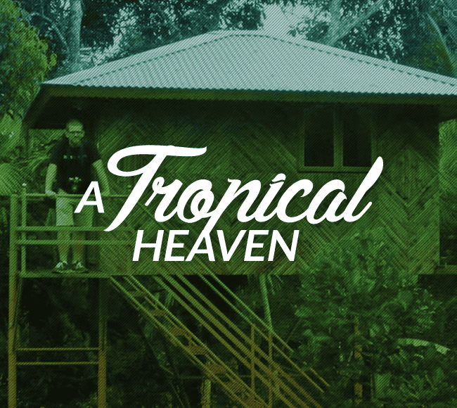 Treehouse at Resort of Wayanad in Kerala, India