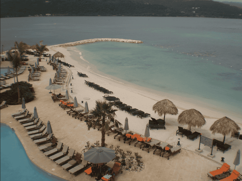 The Wild Orchid Resort